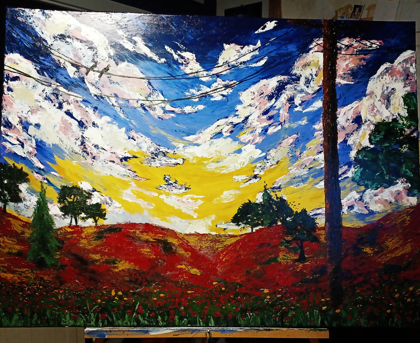 Poppies