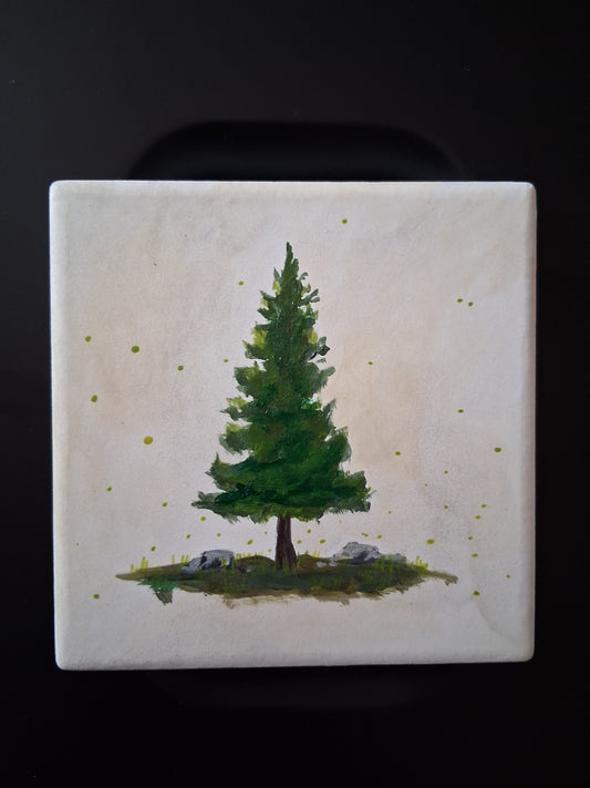 Square Mossy Tree Coaster